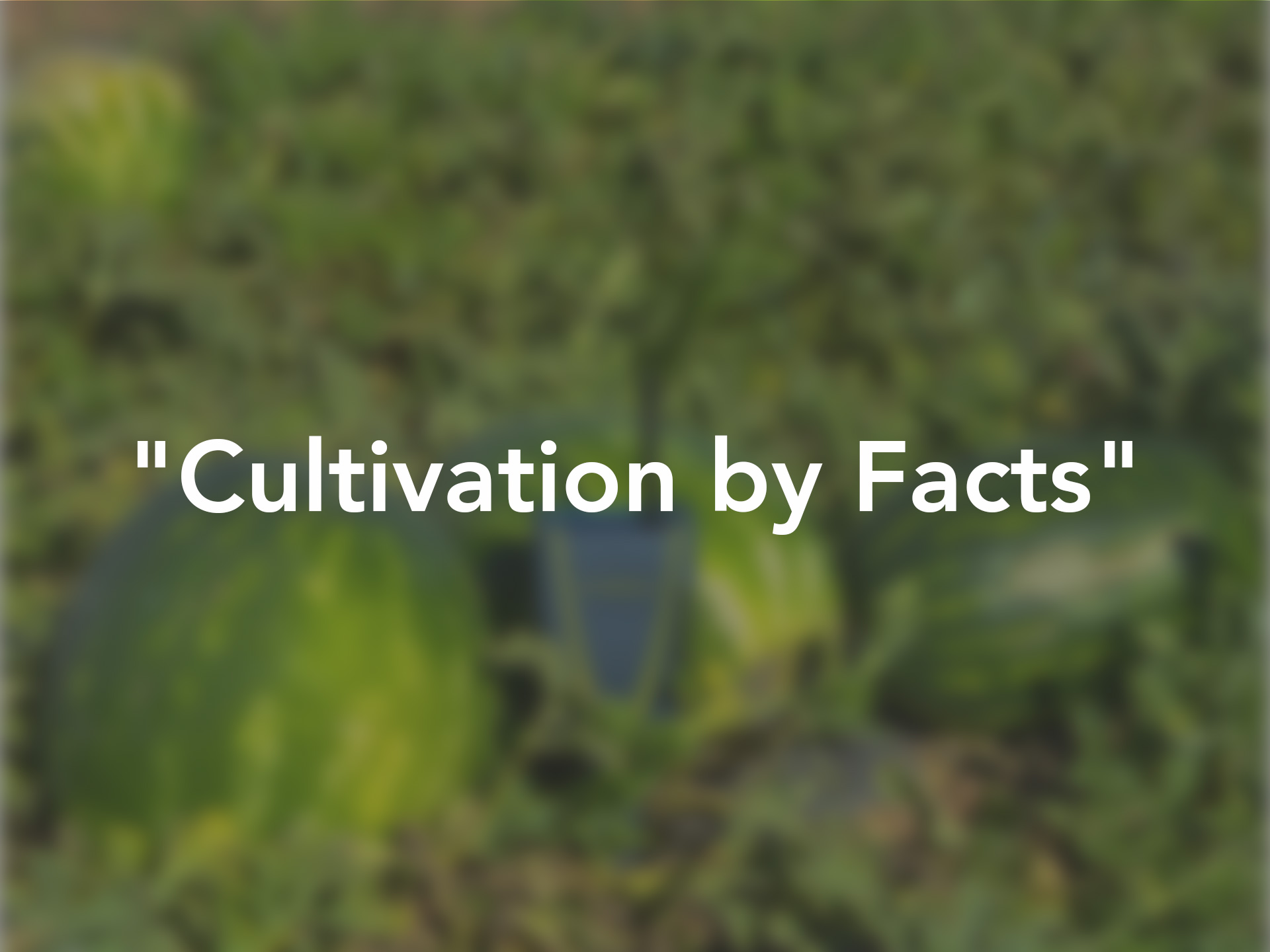 Cultivation by Facts