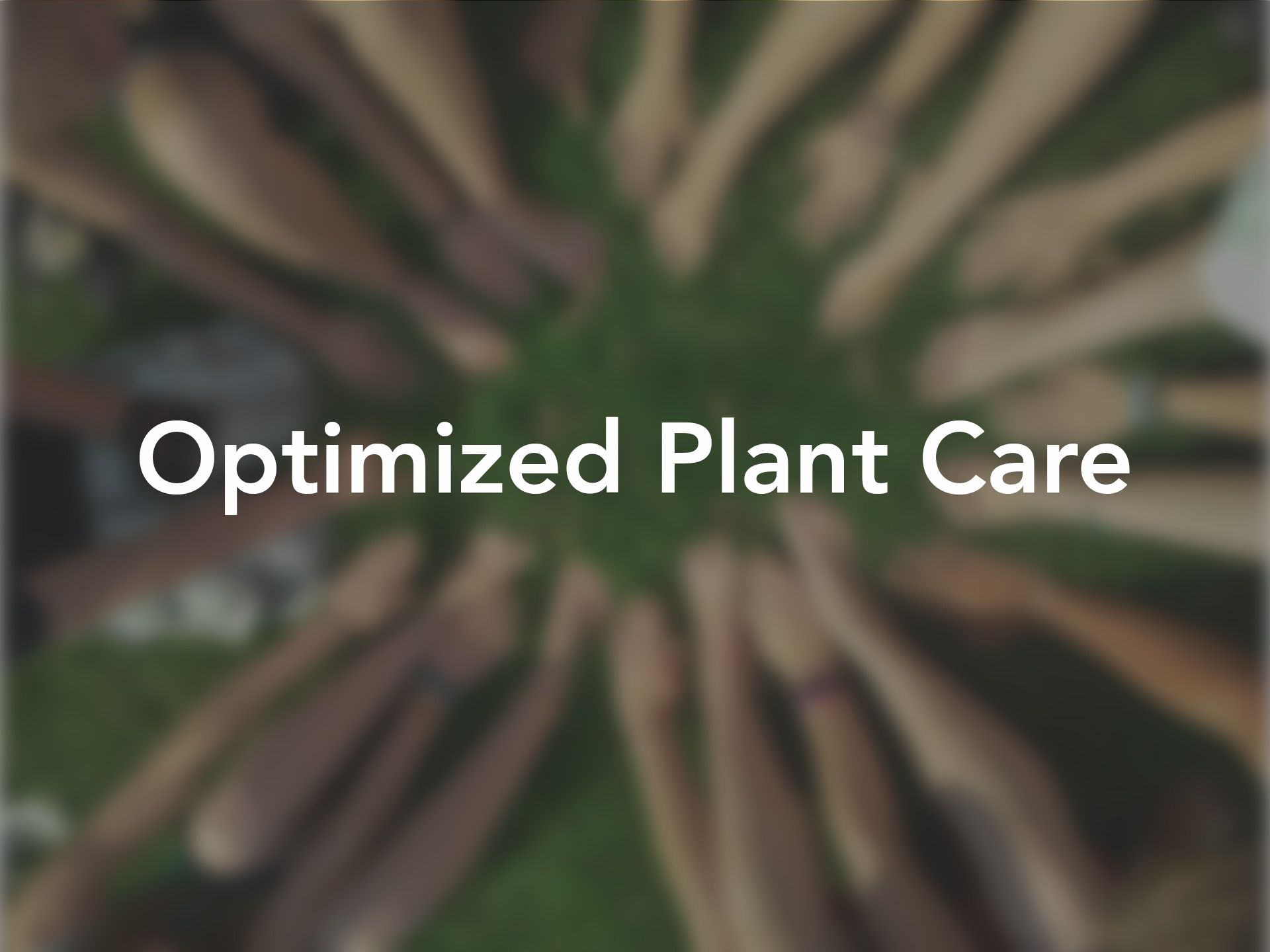 Optimized Plant Care