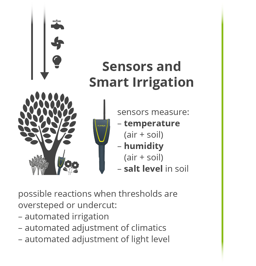 Smart Plant Care - Sensors and Smart Irrigation