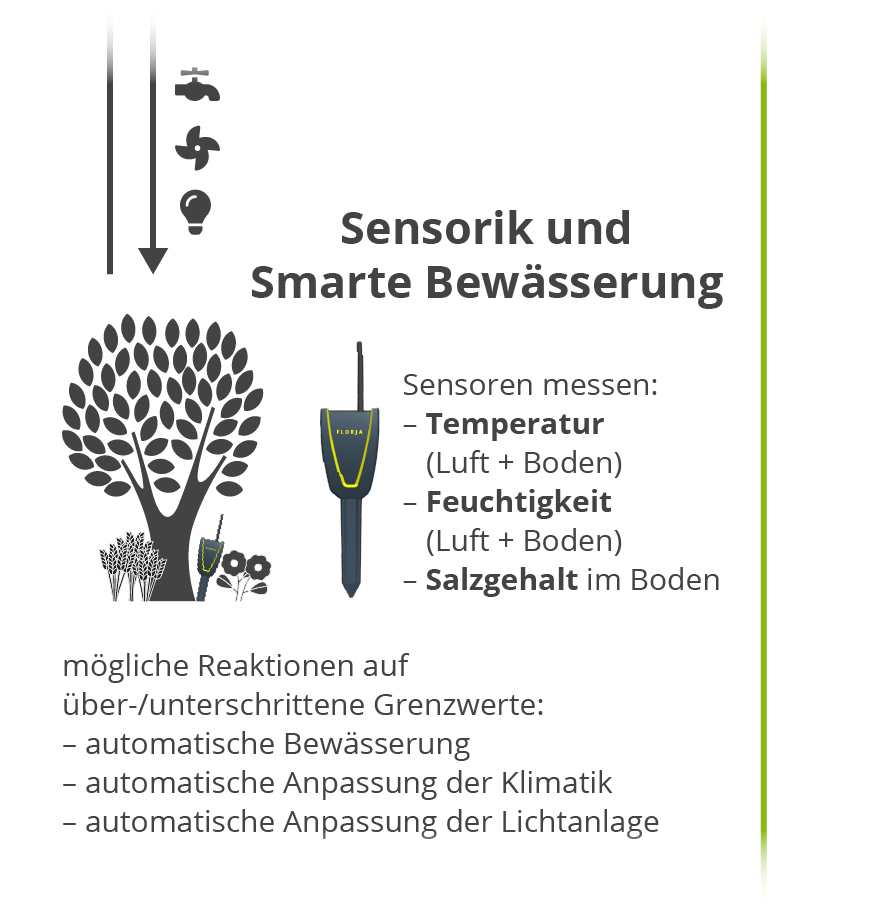 Smarte Pflanzenpflege - Sensorik und smarte Bewässerung